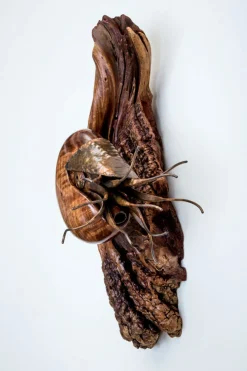 Ancient Mariner Small