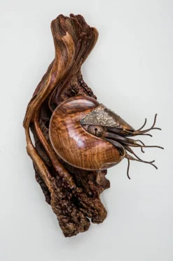 Ancient Mariner Small