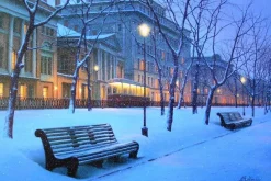 BOULEVARD AT MIDNIGHT