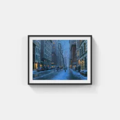 CARRIAGE ROMANCE NEW YORK