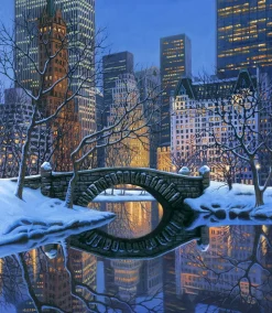 CENTRAL PARK SNOWFALL