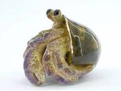Hermy, bronze hermit crab