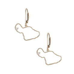 14ky "Maui" Earrings with Dangle Leverbacks, w/2 diamonds(At Lahaina)