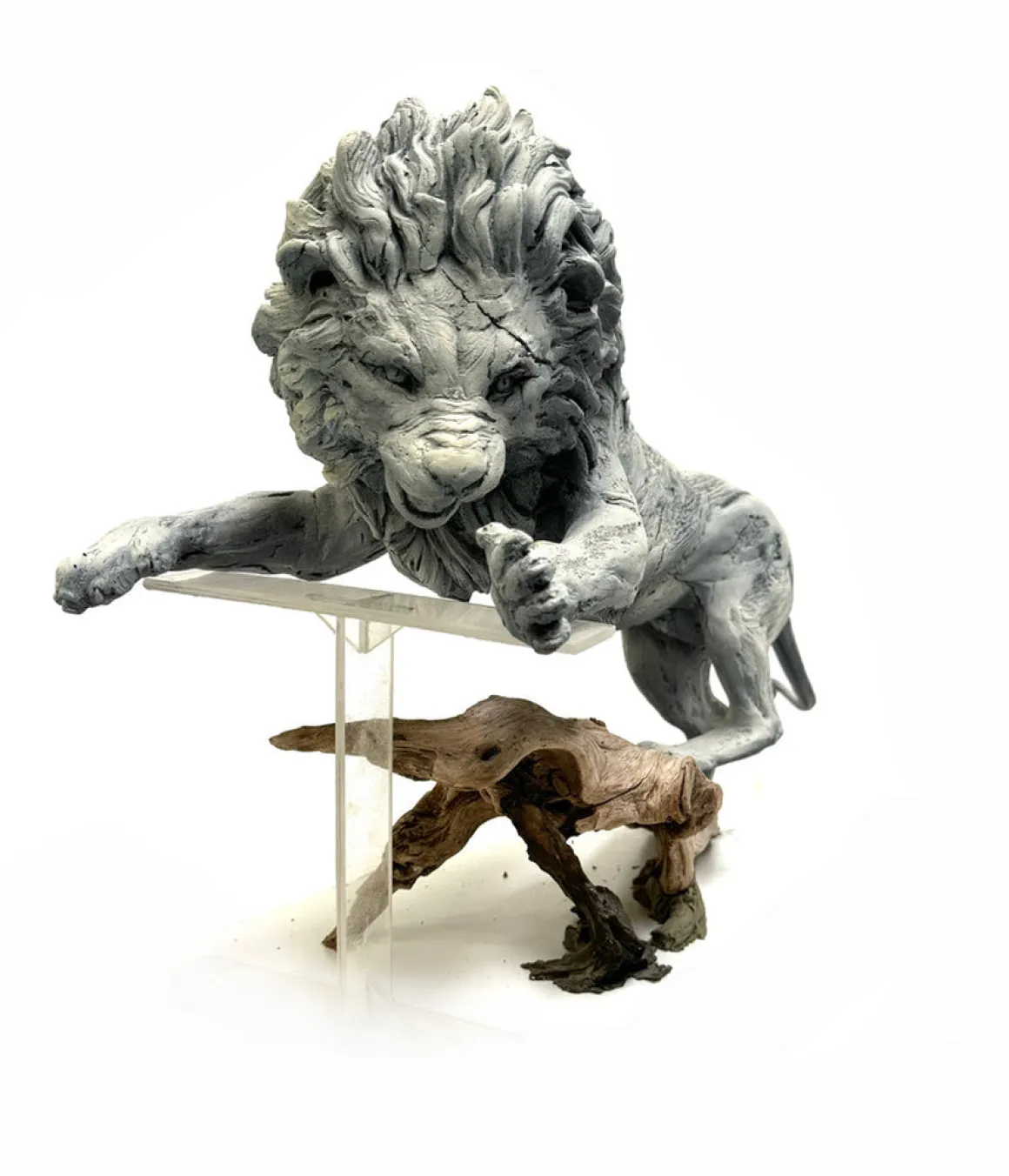 Leonel Large Pre Pub