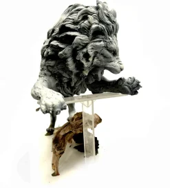 Leonel Large Pre Pub