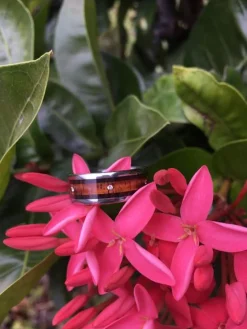 Mens Diamond Wood Titanium Ring