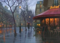RAINY DAY PARIS