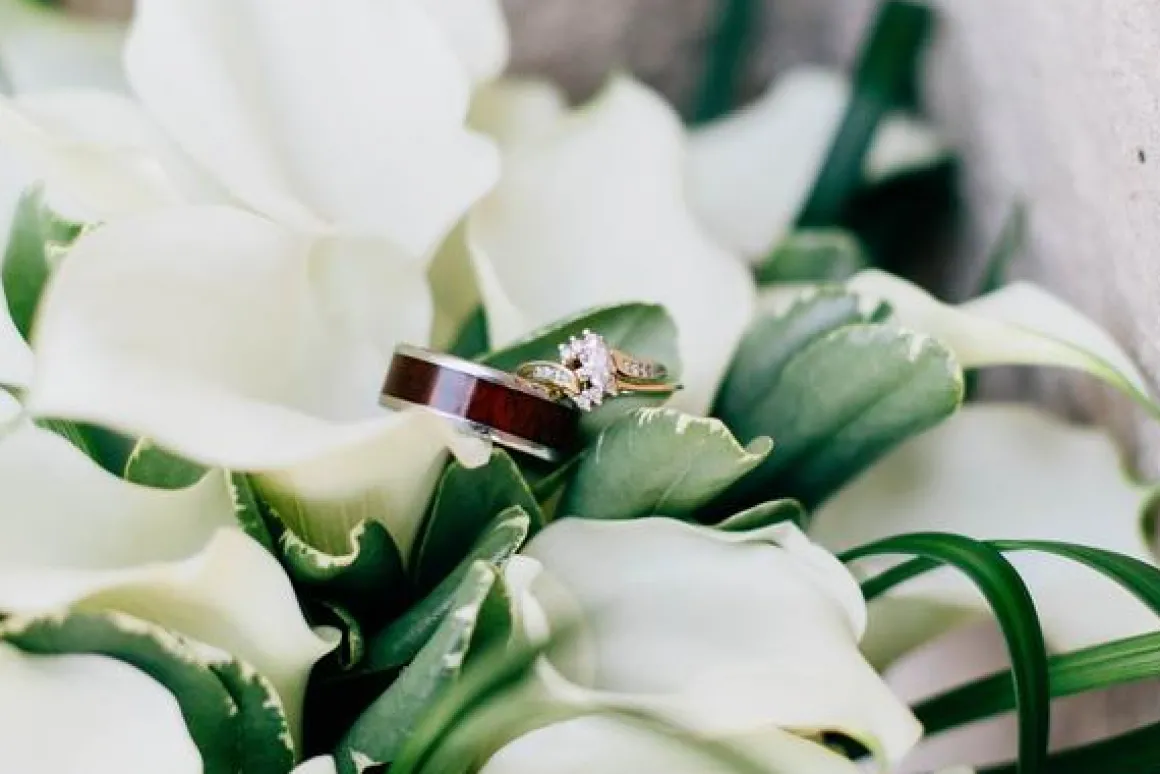 Snakewood Titanium Ring