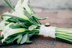 Titanium Ring with Hawaiian Curly Koa Wood