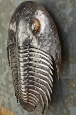 Trilobite