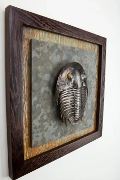 Trilobite